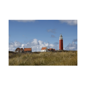Texel Vuurtoren vanaf de duinen
