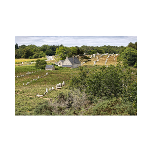 De stenen van Obelix bij Carnac Bretagne
