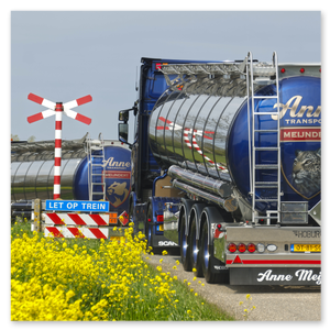 Anne Transport