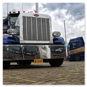 Anne Transport