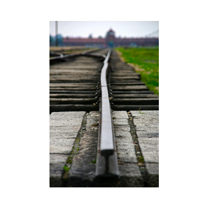 Auschwitz, het einde van het spoor