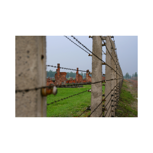 Auschwitz de hel op aarde