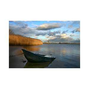 Roeiboot in de Lek