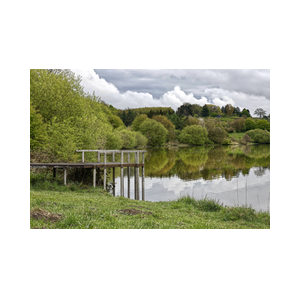Meer bos
