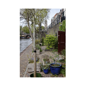 Oudegracht Utrecht met de Domtoren