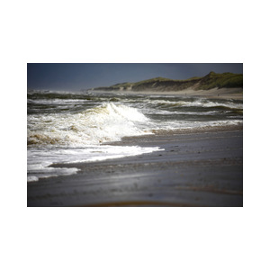 Texel strand branding
