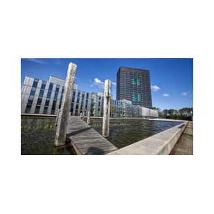 De vijver van Rijkswaterstaat in Utrecht